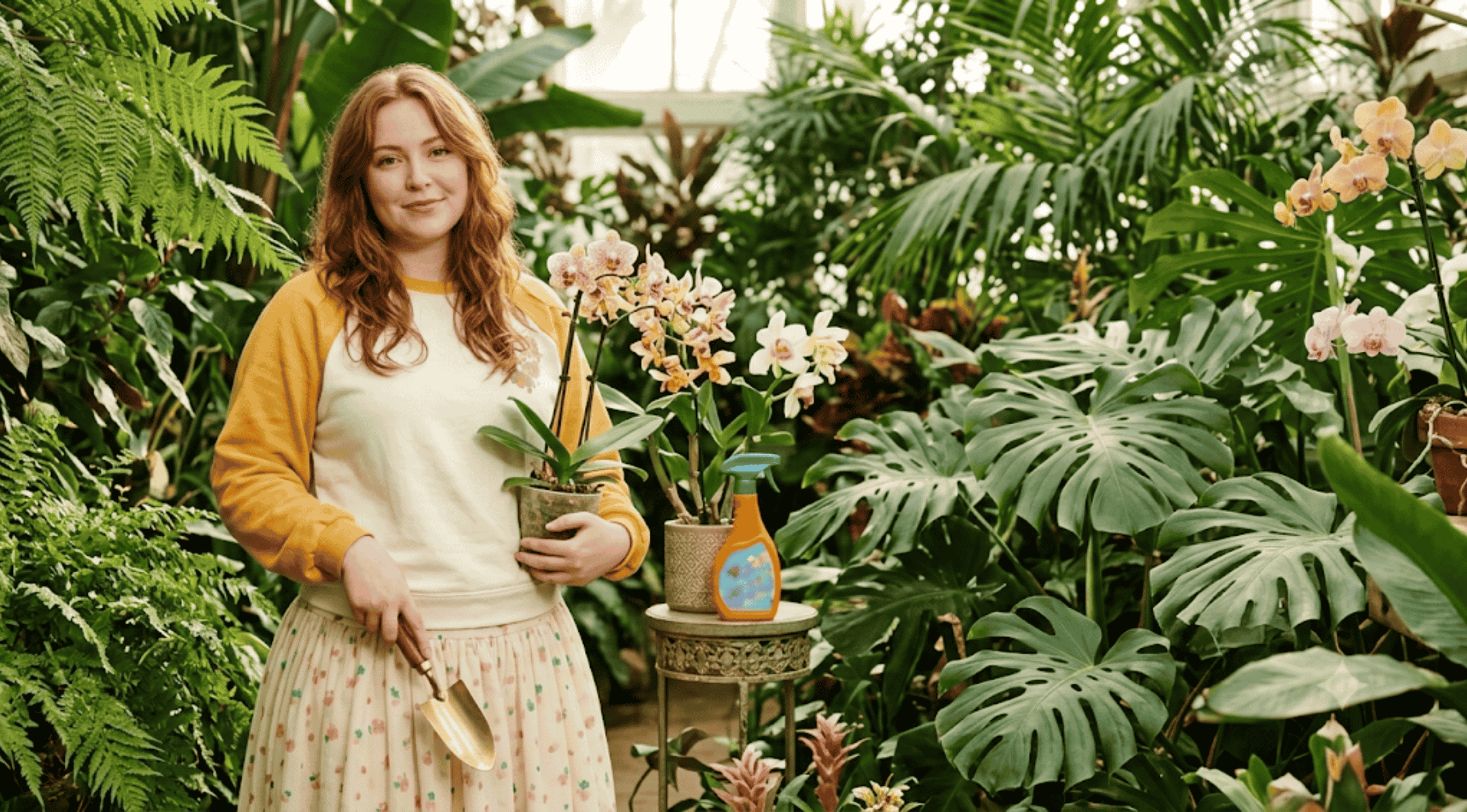 A person in a greenhouse wearing the Taylor Swift Secret Gardens in My Mind sweatshirt with cream body, mustard yellow raglan sleeves, and vintage floral graphics, holding a trowel.